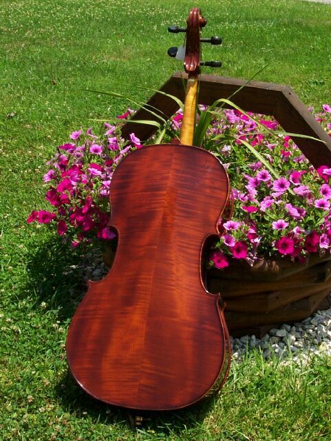 Used 4/4 Size SOLID WOOD CELLO + HARD CASE w/ WHEELS  